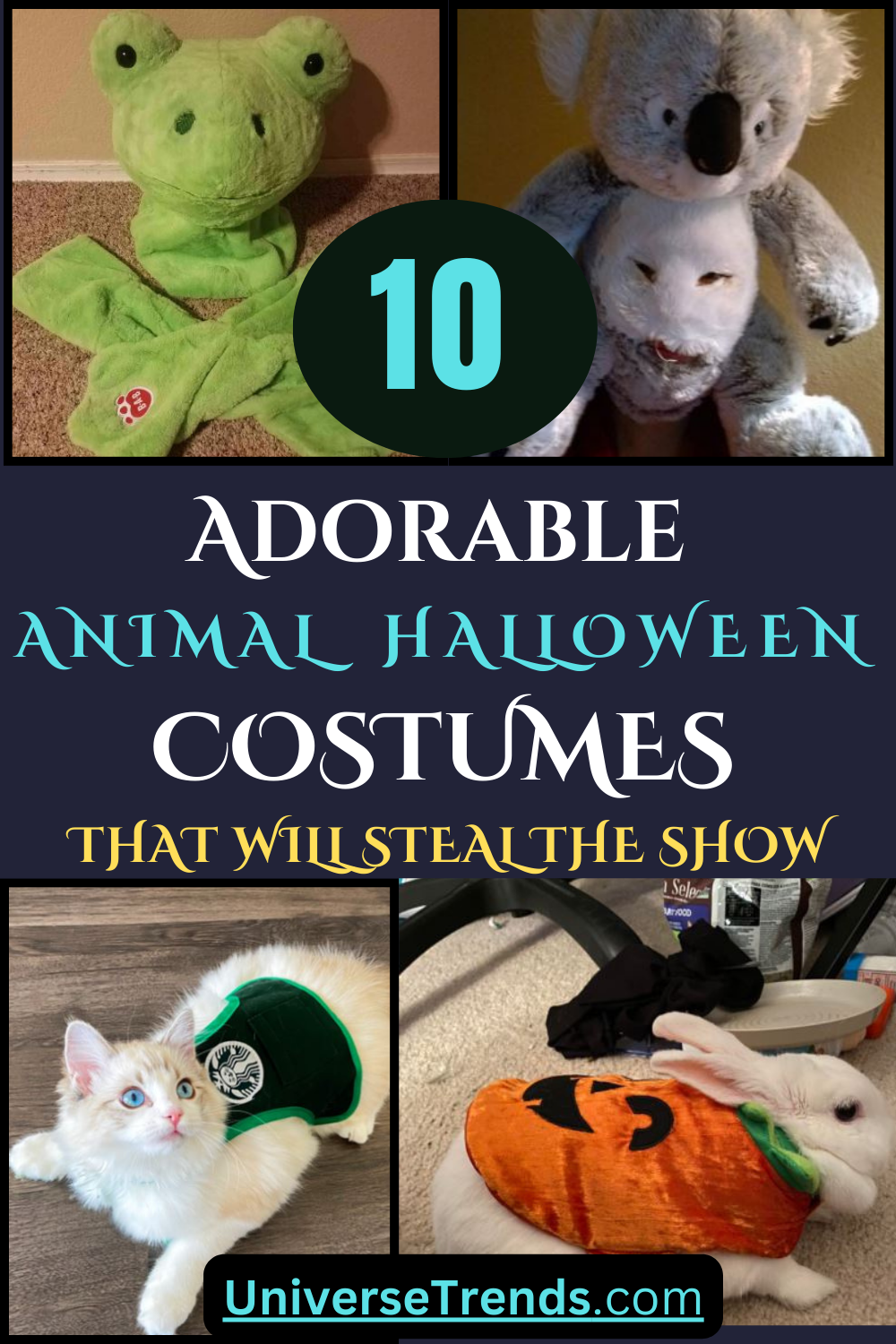 Adorable Animal Halloween Costumes That Will Steal the Show