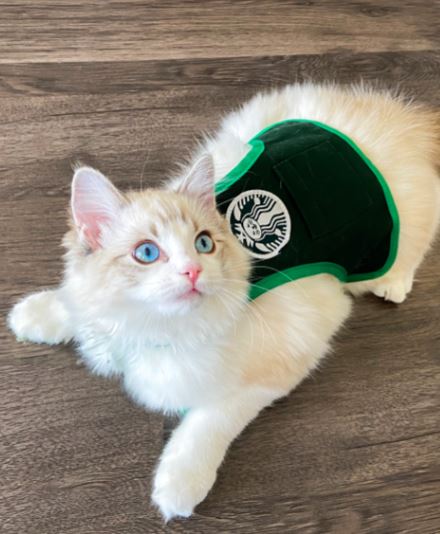 Cute Kitten Costume