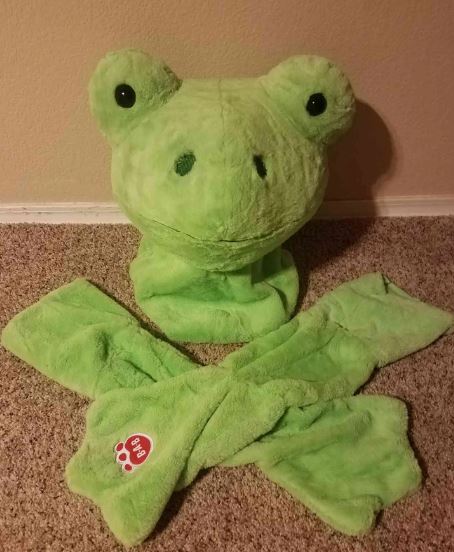 Funky Frog Costume