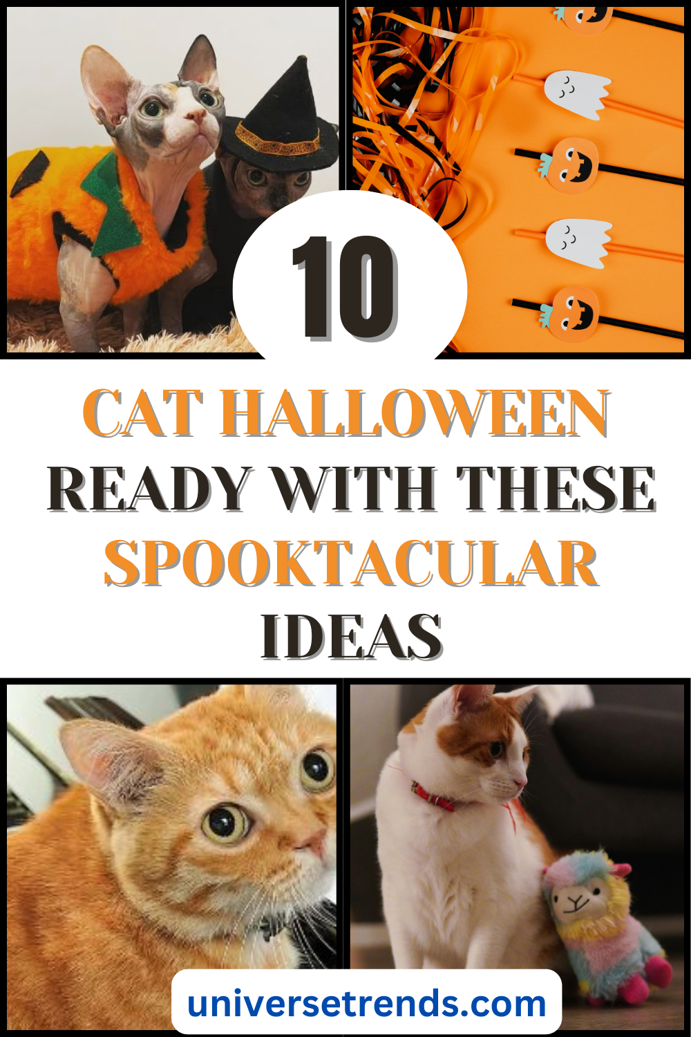 Get Your Cat Halloween-Ready with These Spooktacular Ideas