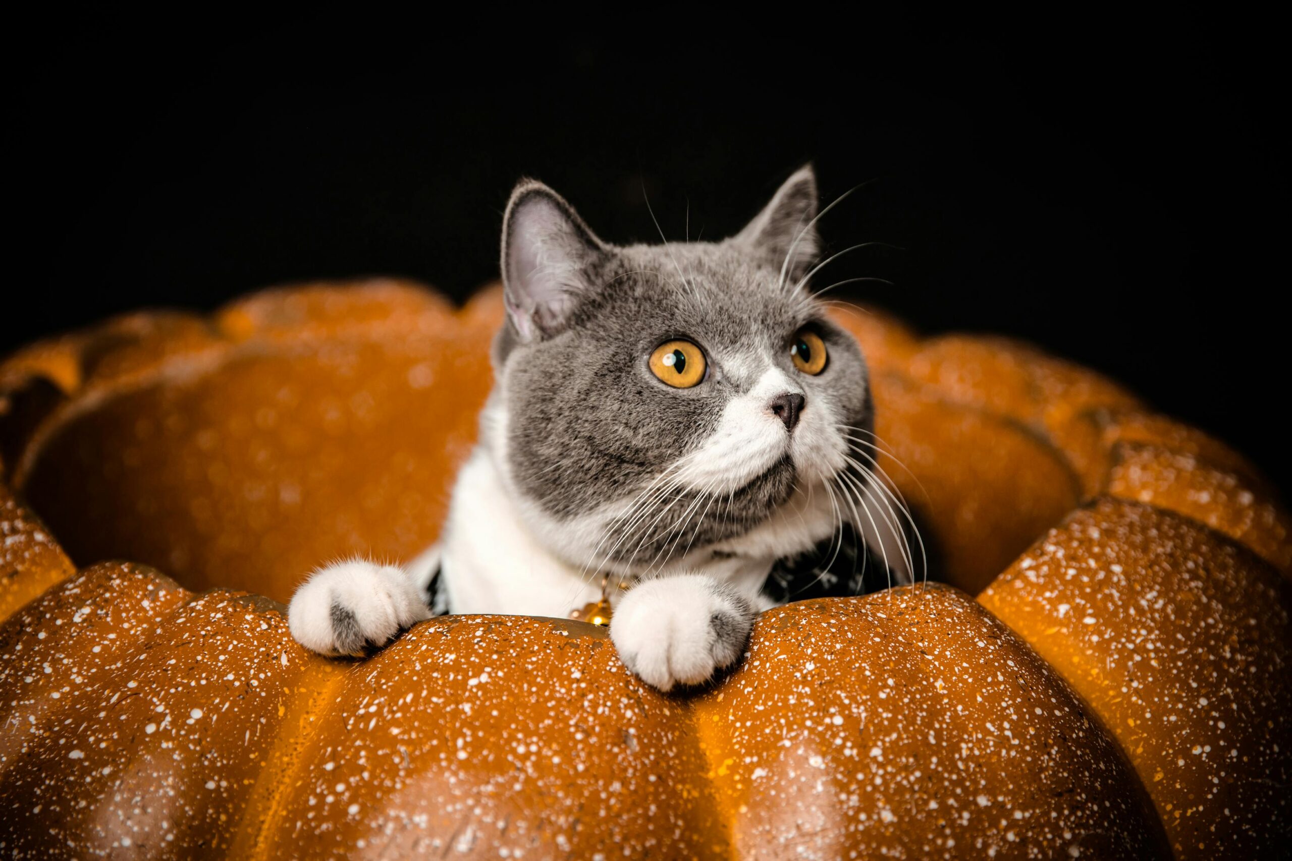 Halloween-Themed Cat Scratching Posts
