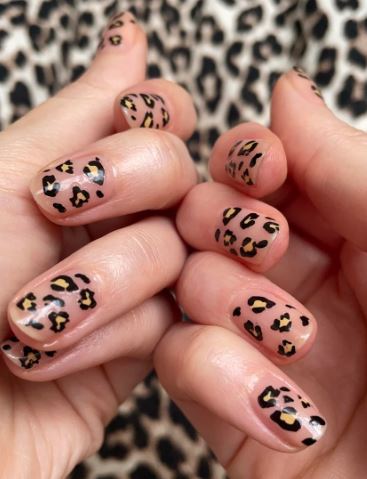 Animal Print Accent