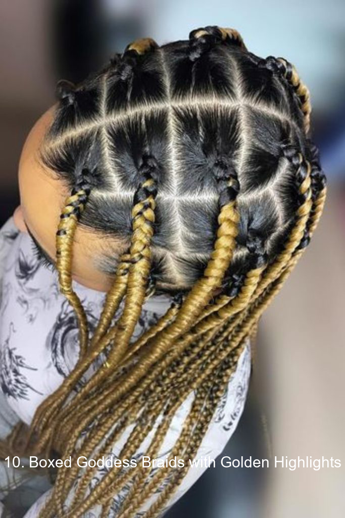 10. Boxed Goddess Braids with Golden Highlights