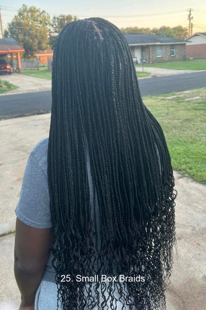 25. Small Box Braids
