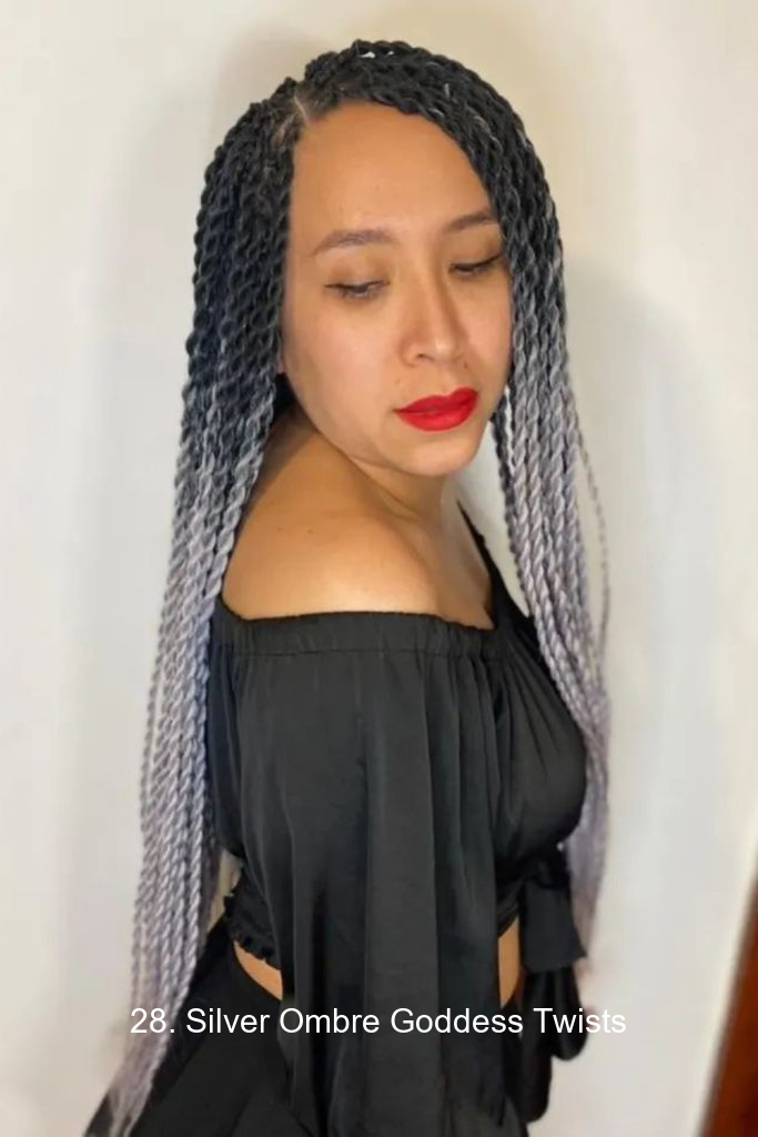 28. Silver Ombre Goddess Twists