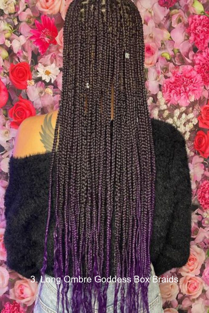 3. Long Ombre Goddess Box Braids